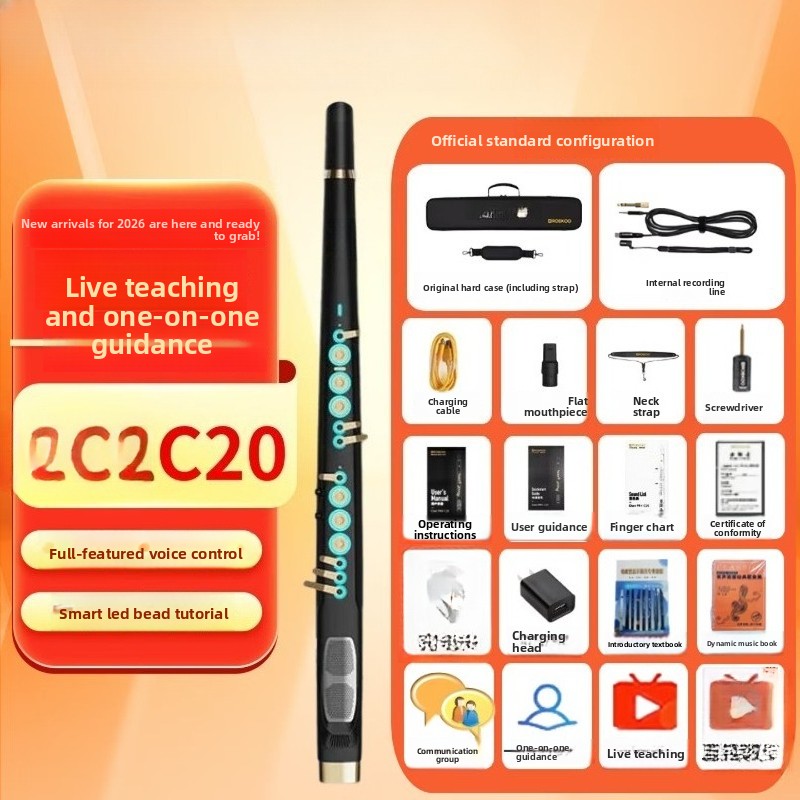 C20トゥルーサンプリング国産高級インテリジェント電動ブロー - Musical Instrument Ending In A のレビューと価格
