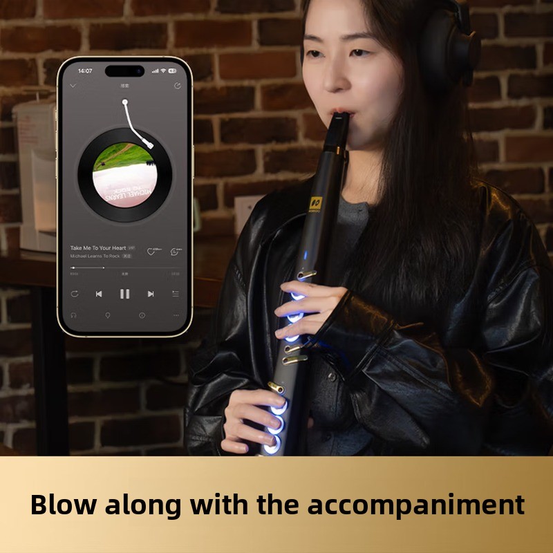 C20トゥルーサンプリング国産高級インテリジェント電動ブロー - Musical Instrument Ending In A のレビューと価格