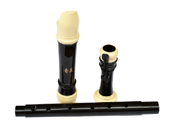 QiMeiブランド プロ仕様 8穴 バロックテナー プラスチ - Recorder Baroque Style のレビューと価格