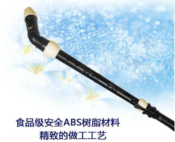 プロフェッショナル 8 穴バロック低音樹脂クラリネット中国フ - Recorder Baroque Style のレビューと価格