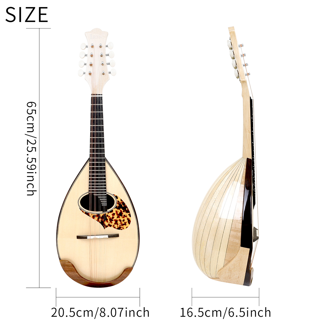IRIN 8弦マンドリン ボウルバック Aスタイルマンドリン - Mandolin A Style のレビューと価格