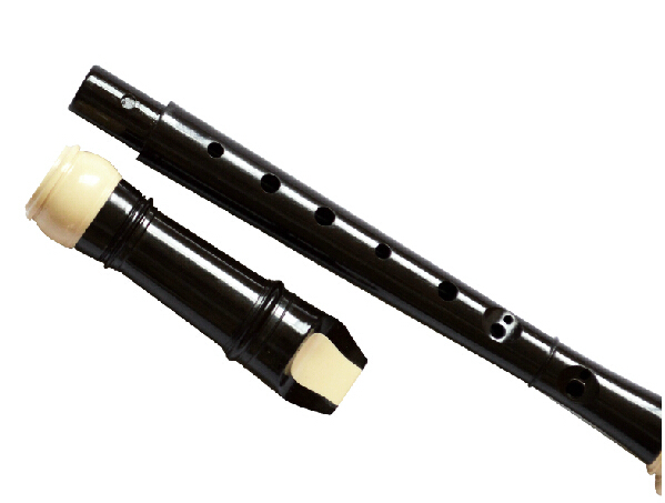 バロック 8 穴ソプラニーノプラスチックリコーダー英語スタイ - Recorder Baroque Style のレビューと価格