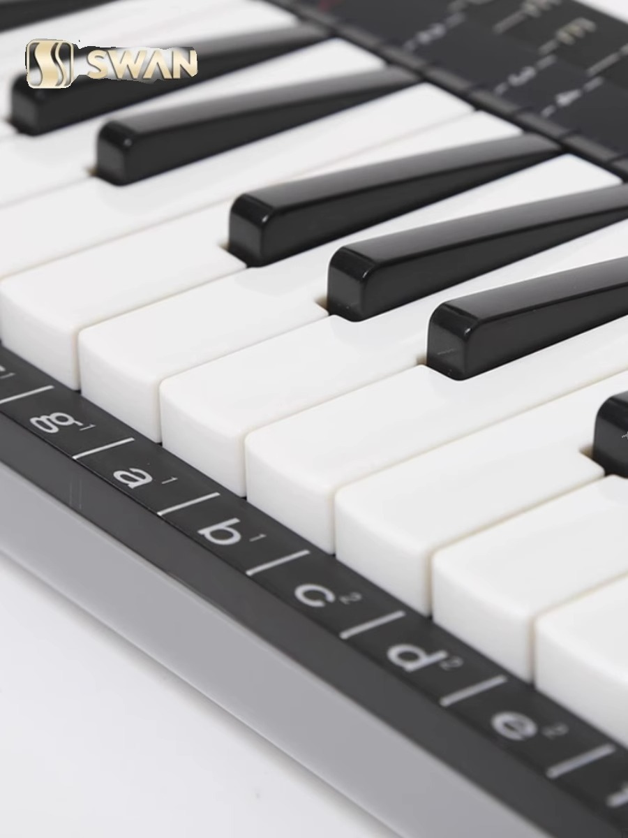 37鍵プロフェッショナルメロディカセット子供用楽器 - Musical Instrument Melodica のレビューと価格